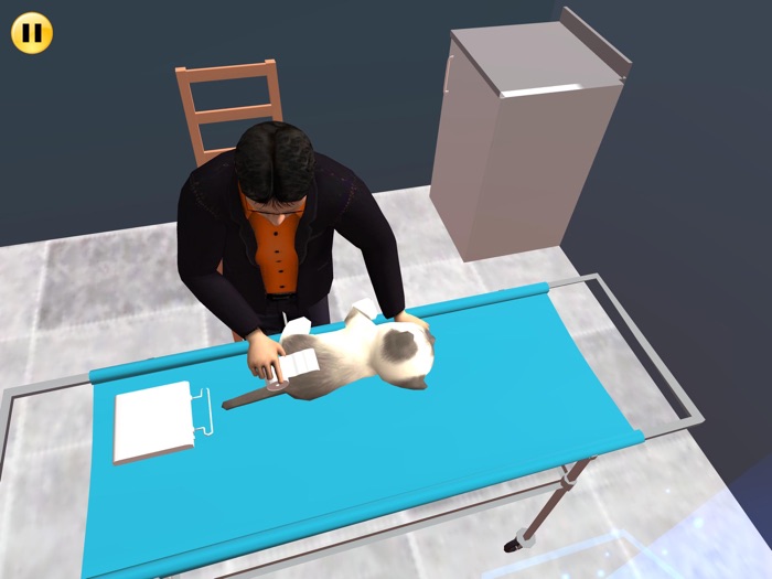 Virtual Cat Pet Games