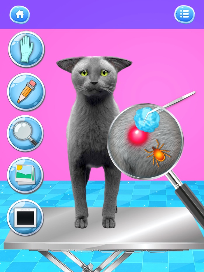 Cat Games Pet Vet Doctor Care