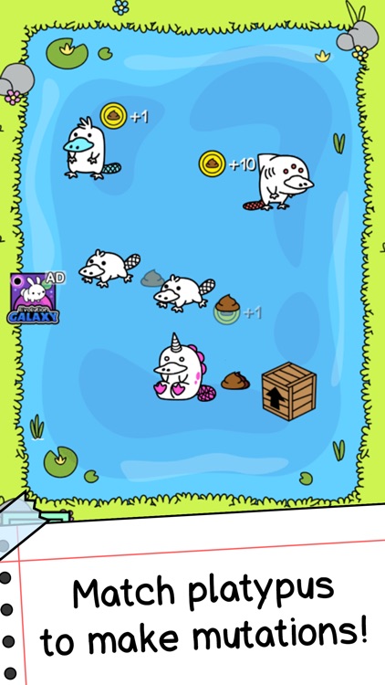 Platypus Evolution: Match Game screenshot-0