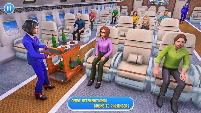 Flying Airplane Flight Hostess