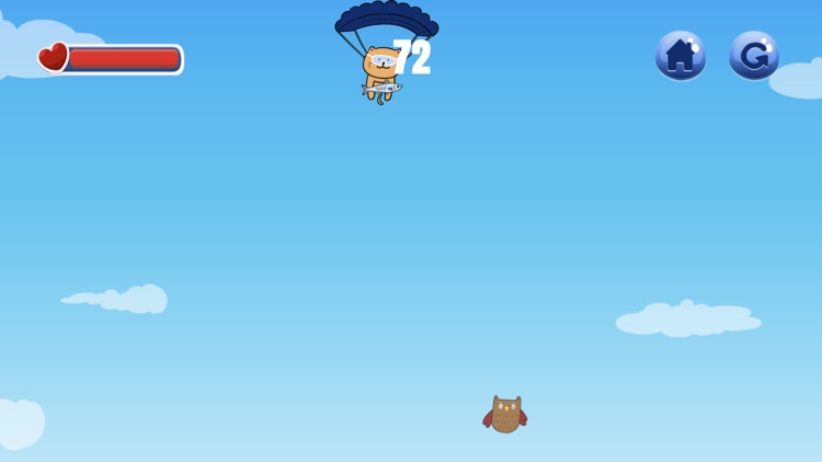 Skydiving Cat