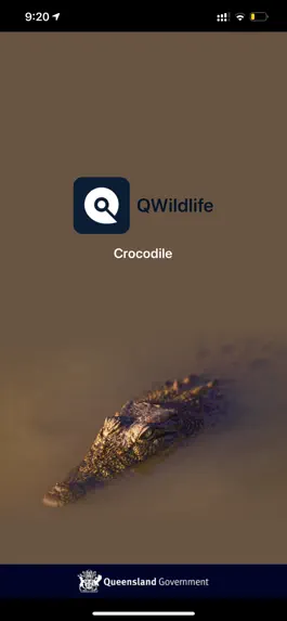 Game screenshot QWildlife apk