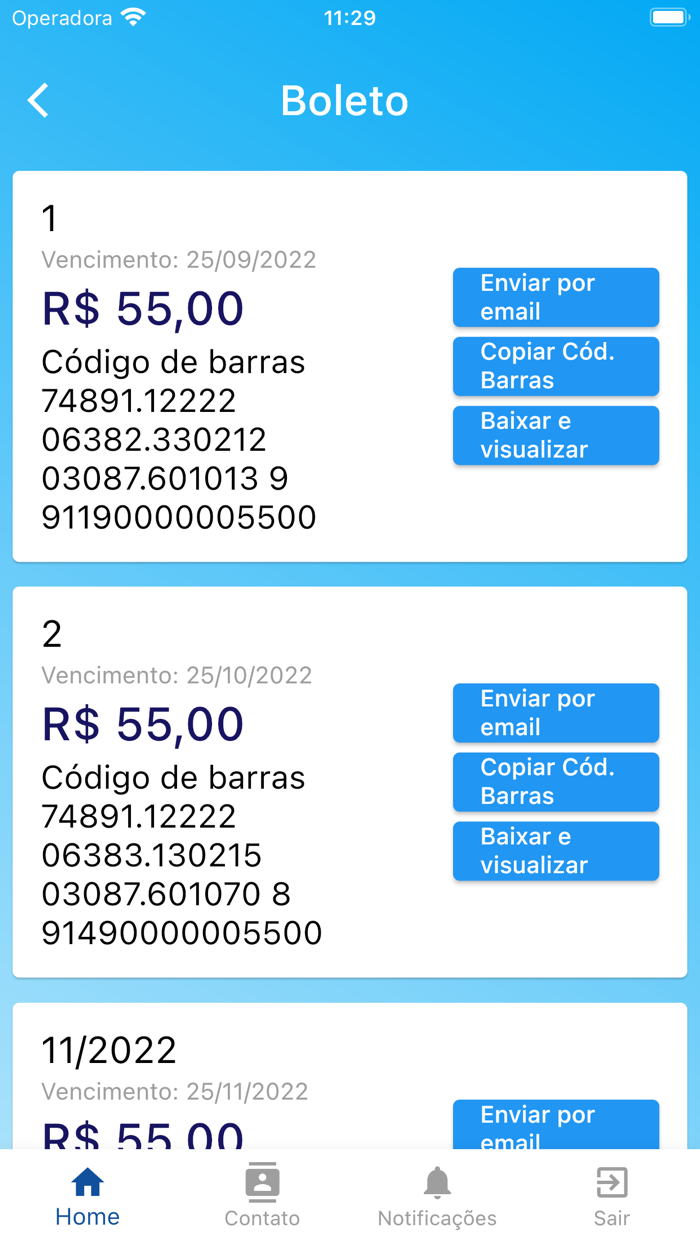 Bom Pastor Penápolis