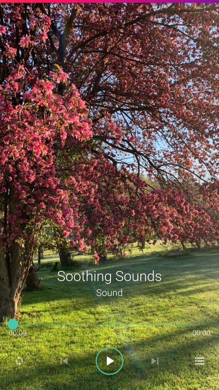 Soothing Sounds Pro Plus
