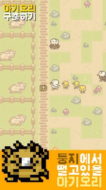 아기오리 구출하기(Duck Rescue)