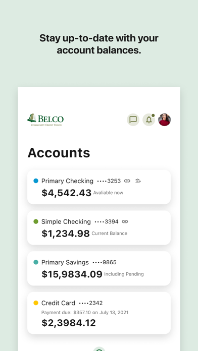 Belco Money Manager screenshot 3