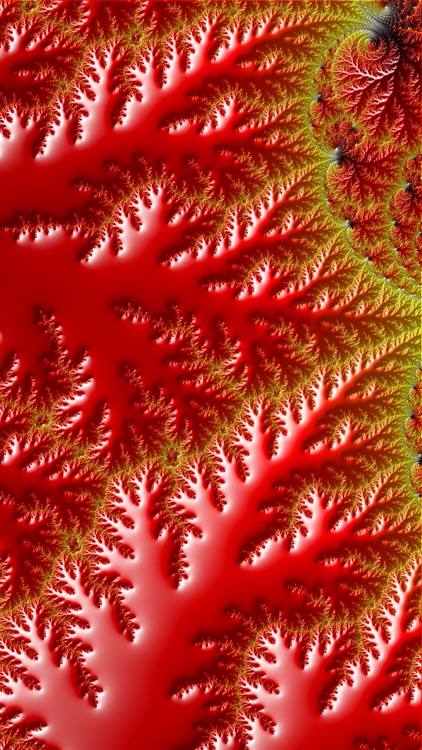 Fractal Way screenshot-4