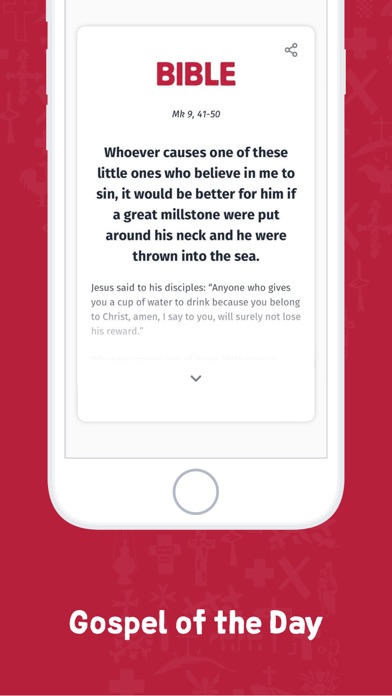 YOUCAT Daily Bible, Catechism screenshot 3