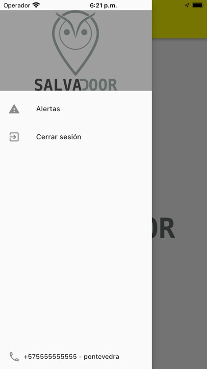 Salvadoor screenshot-5