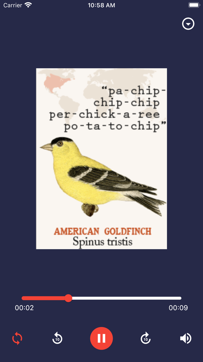 Bird Call Bird Sounds Effects