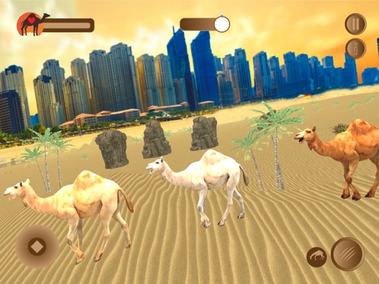 Dubai Desert Camel Simulator screenshot 3