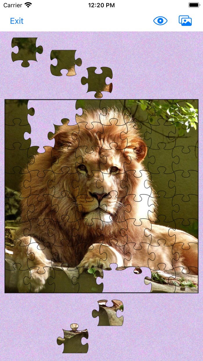Jigsaw puzzles - Jigsaw