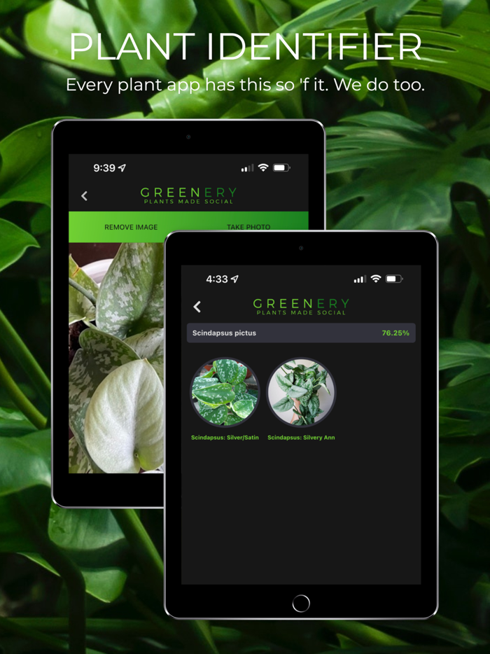 Greenery Plants Made Social