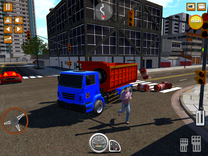 Car Transporter Truck Driver