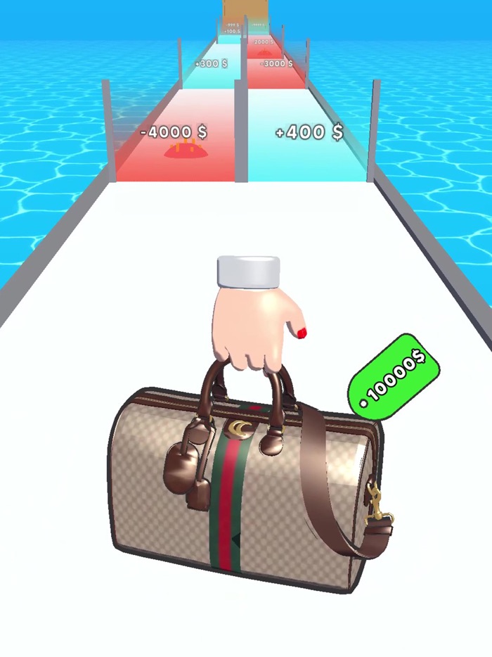 Purse Evolution 3D