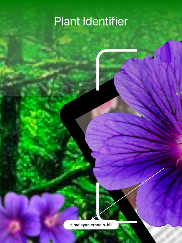 Australian Plant Identifier AI