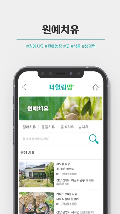 더힐링팜