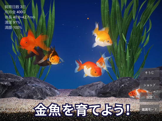 金魚育成アプリ「ポケット金魚」のおすすめ画像1