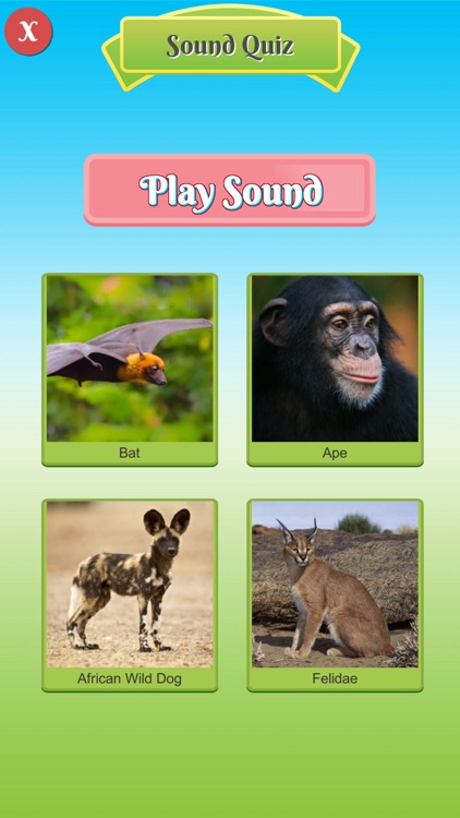 100 Animal Bird Sound for Baby screenshot-3