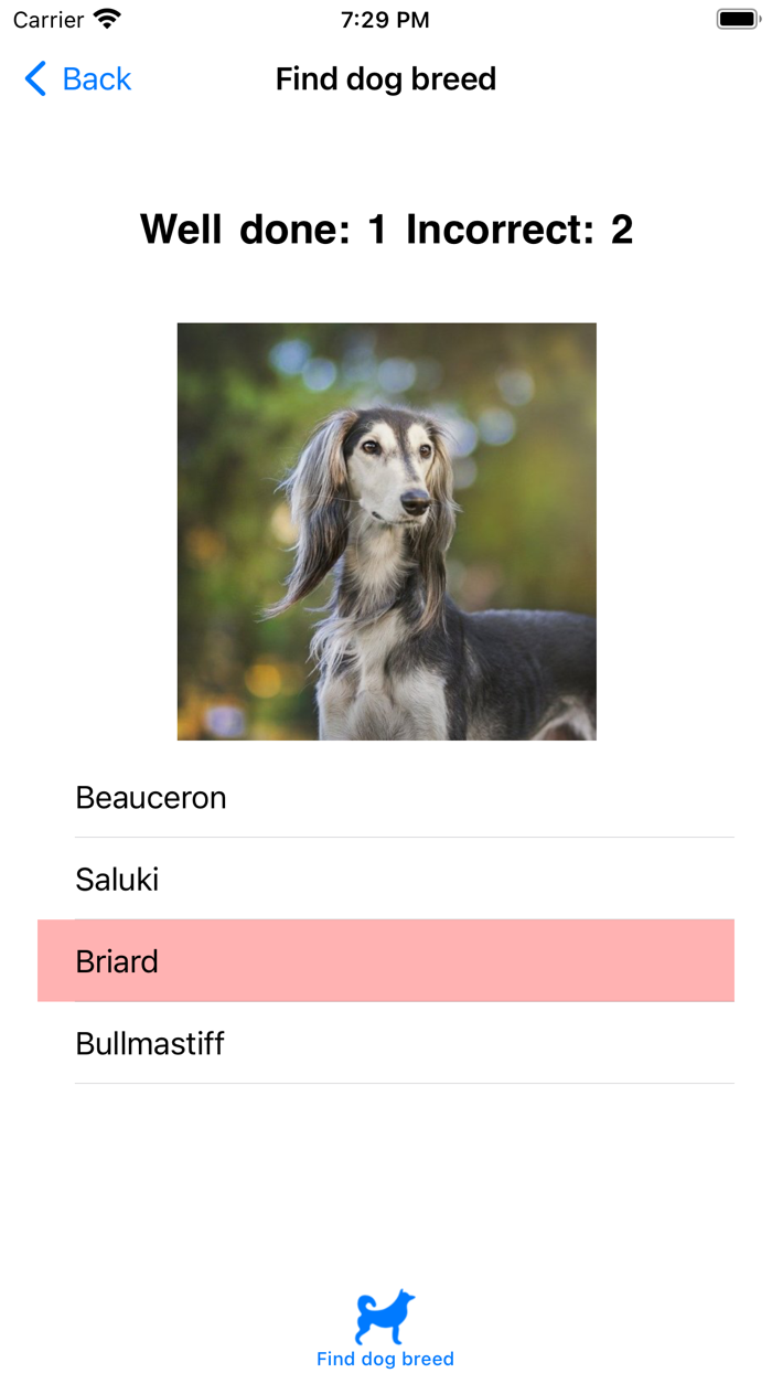 DDog - Find dog breed Puzzle