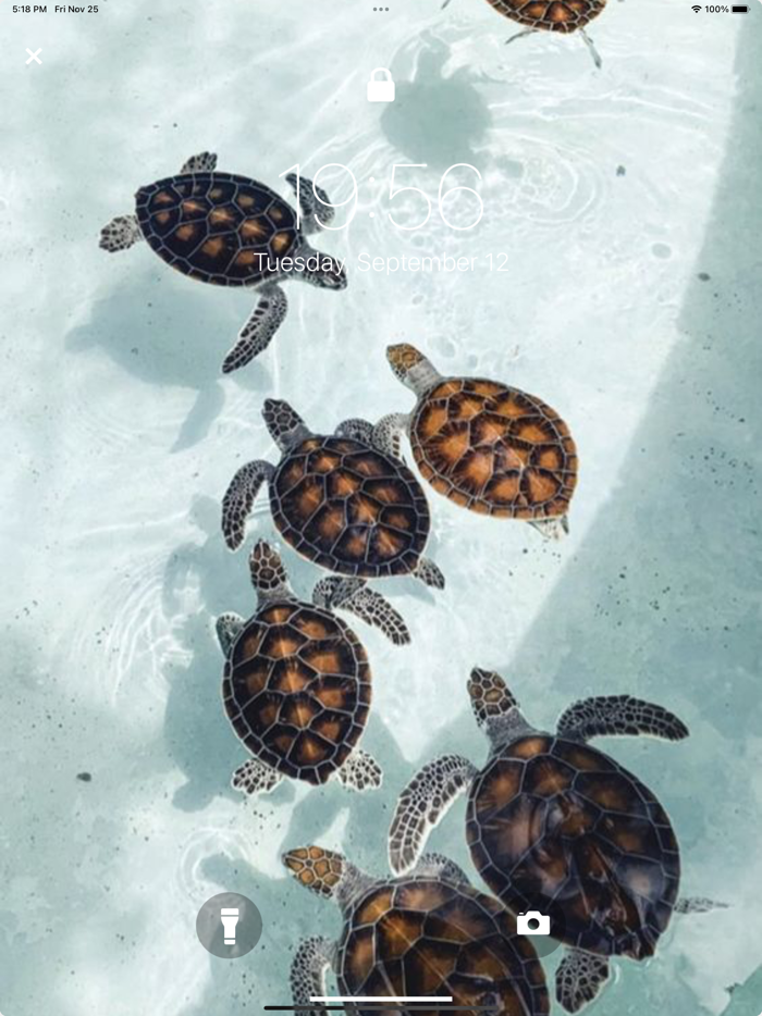 Aesthetic VSCO Live Wallpaper