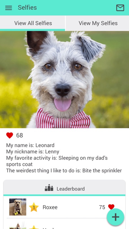 Antioch Vet screenshot-3