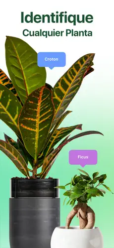 Captura de Pantalla 1 NatureID - Identificar plantas iphone