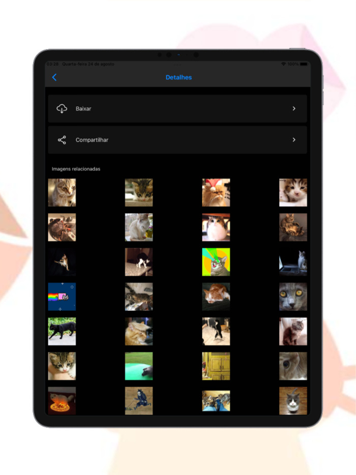 Catcker  Pictures of Cats