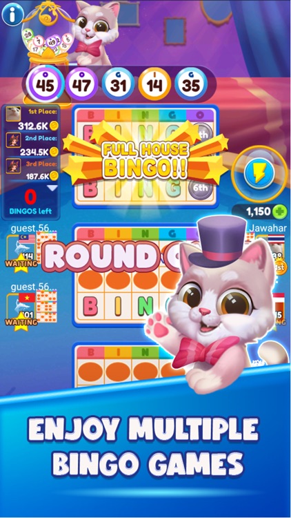 Bingo - ZingPlay