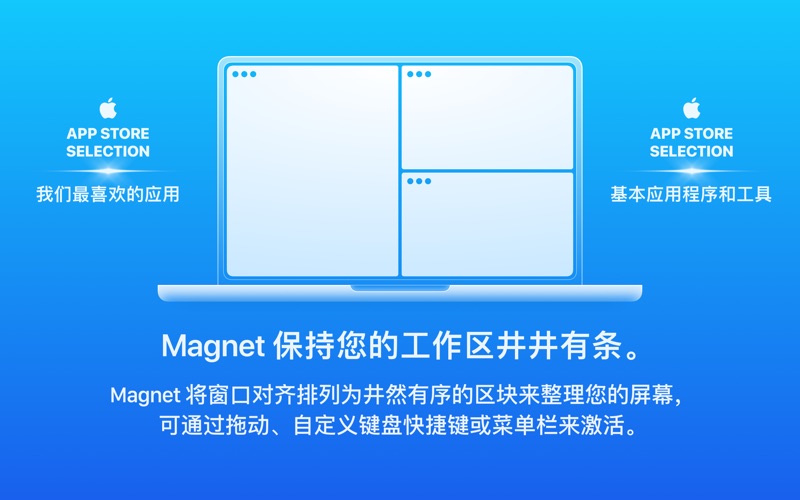 Magnet