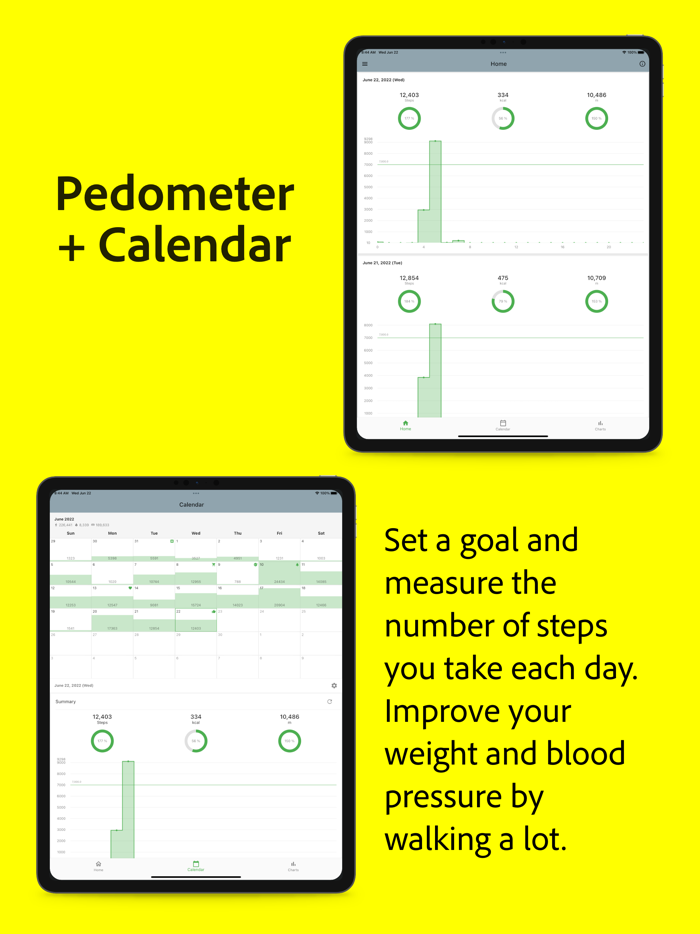 Pedometer Calendar