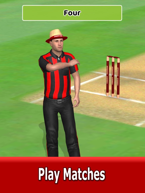 Cricket World Domination screenshot 2