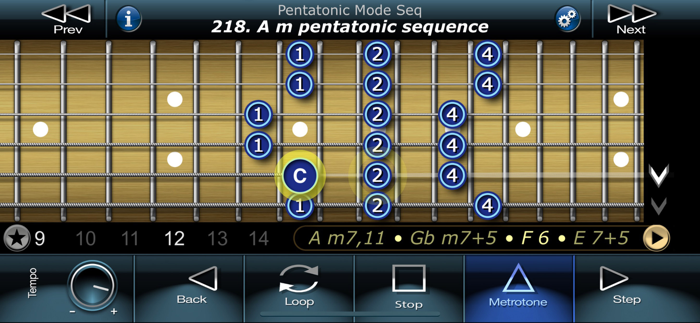 Swybrid Picking Guitar School