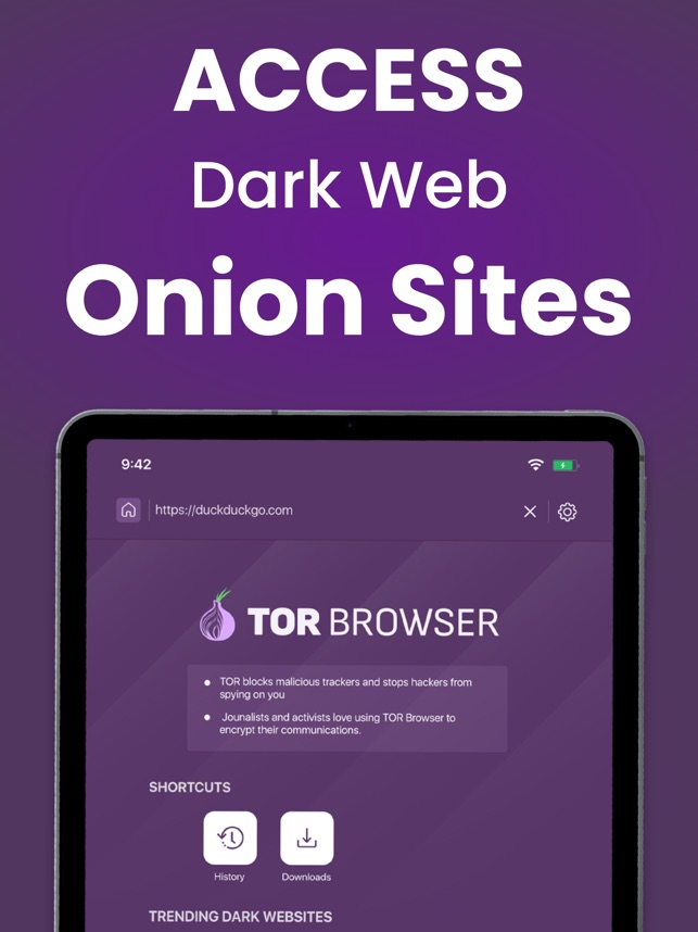 browser tor для ipad mega