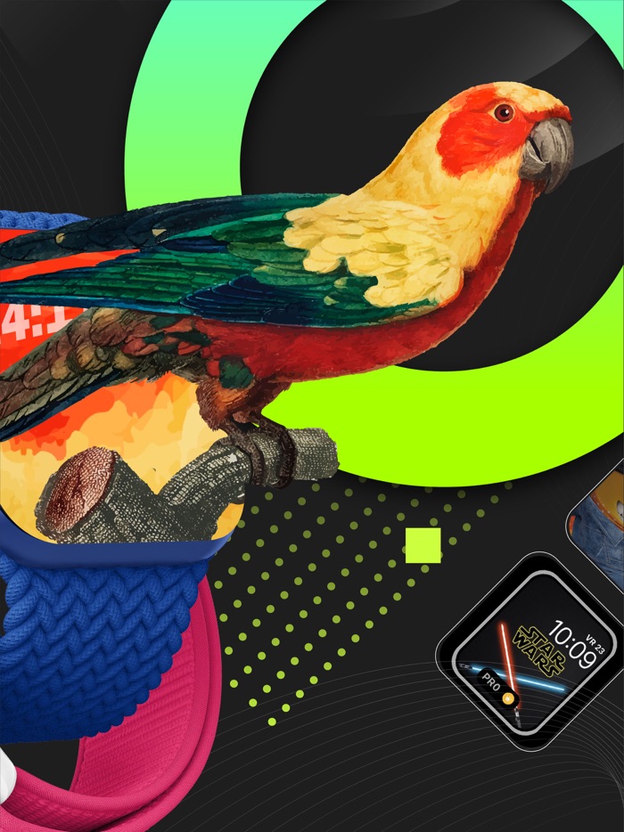 Watch Facers Maker Pro