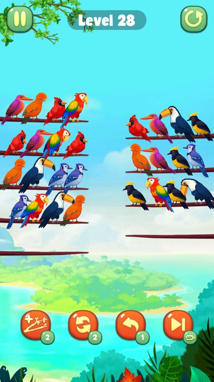 Color Bird Sort Puzzle Game screenshot-4