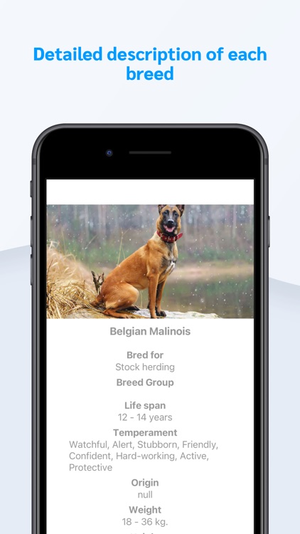 Dog Breeds Guid
