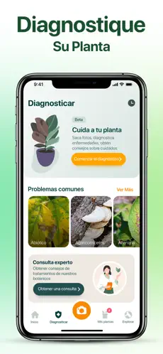 Imágen 6 NatureID - Identificar plantas iphone