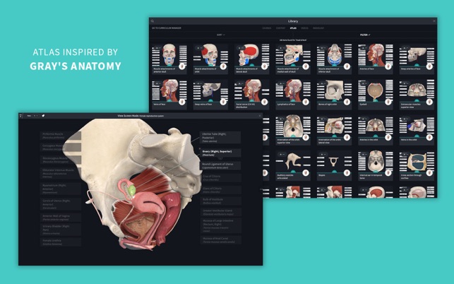 ‎Complete Anatomy 22 Screenshot