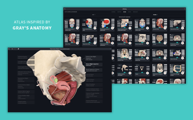 ‎Complete Anatomy 22 Screenshot