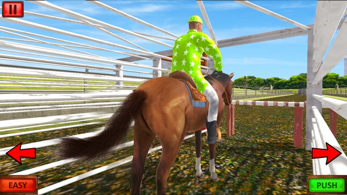 Cowboy Horse Riding and Racing