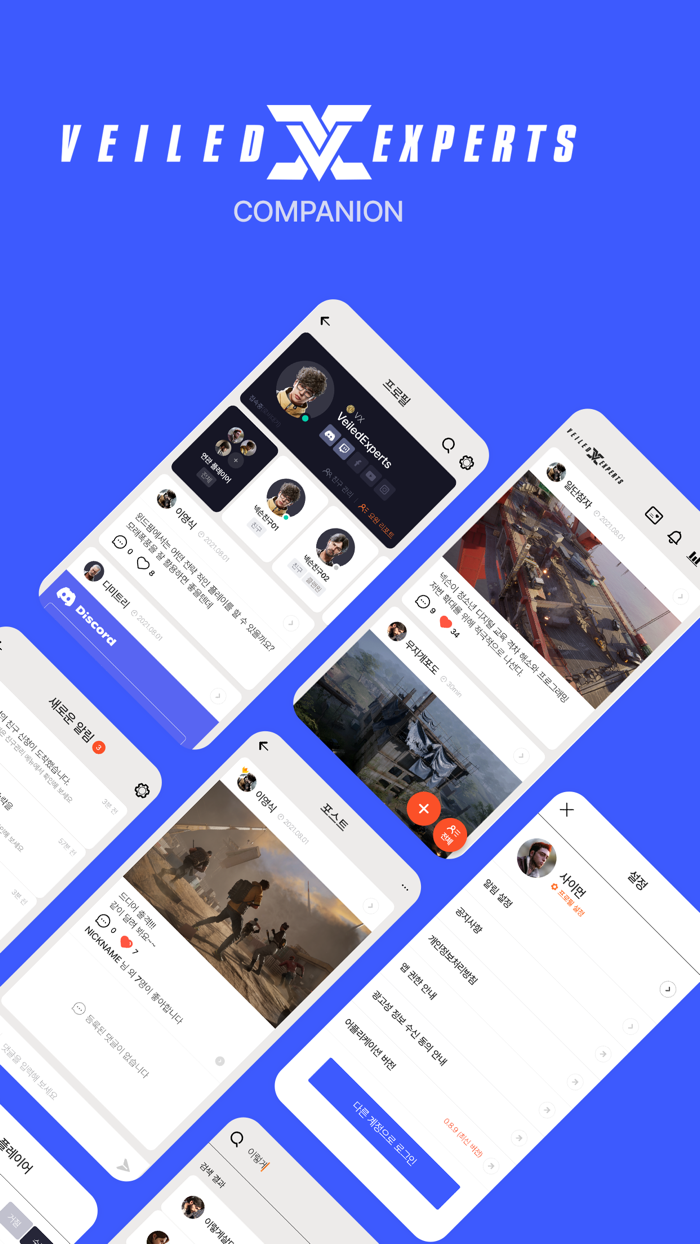 Veiled Experts Companion