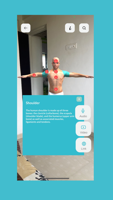 Human Anatomy AR screenshot 4