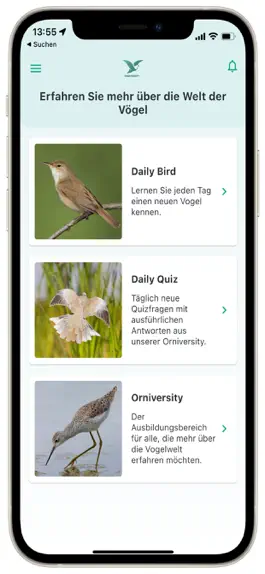 Game screenshot Orniversity mod apk