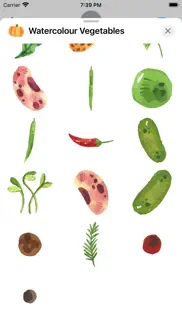 watercolour vegetables iphone screenshot 4