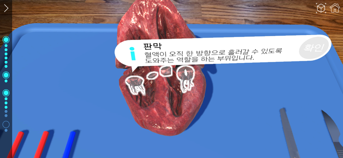 AR 해부실험실