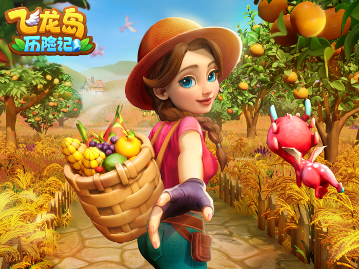 飞龙岛历险记