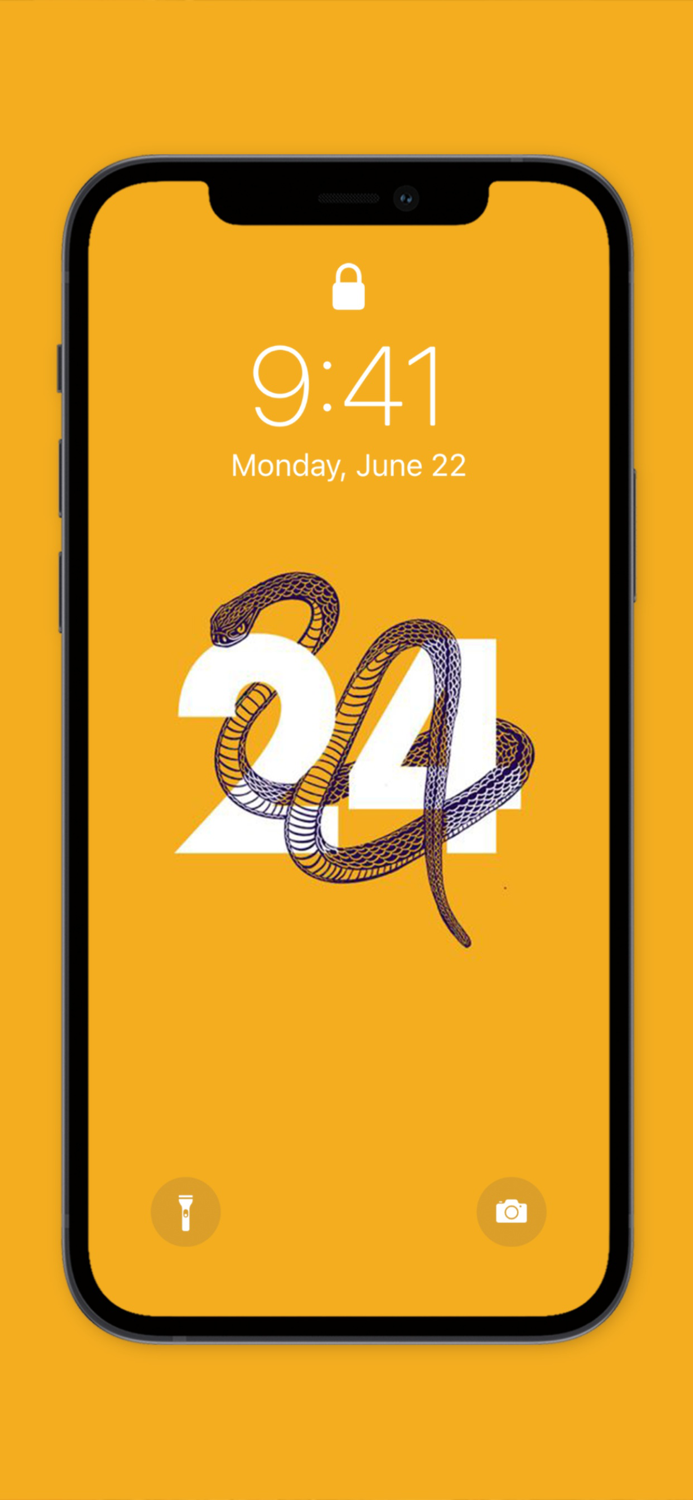 Basketball Wallpaper ™