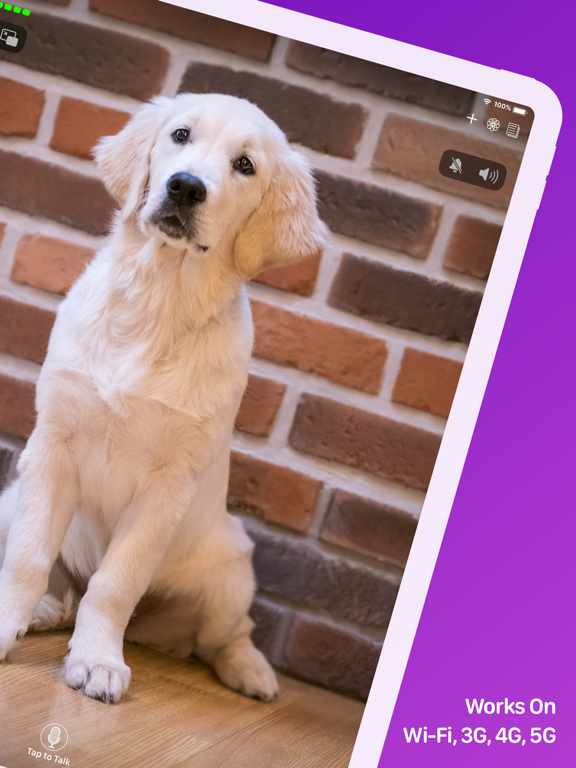 Pet Monitor VIGI Pet Monitor VIGI