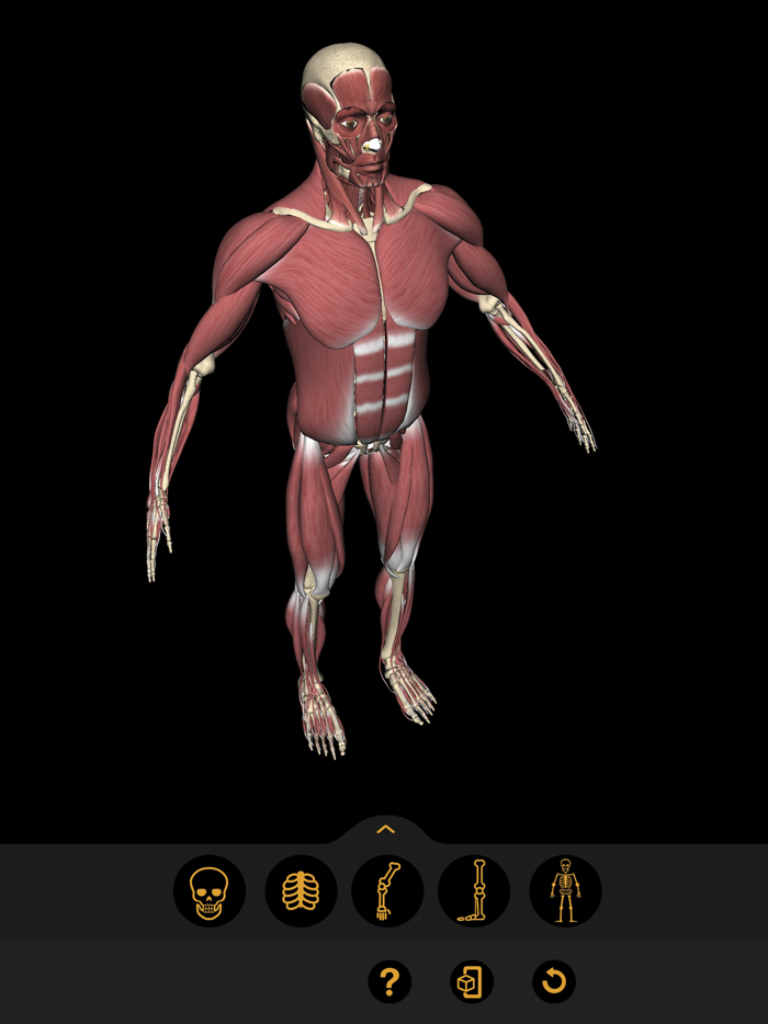 Anatomia Fácil na Palma da Mão